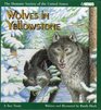 Wolves in Yellowstone (Humane Society of the United States)