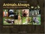 Animals Always: 100 Years at the Saint Louis Zoo