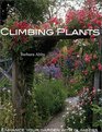 Climbing Plants Enhance Your Garden with Climbers