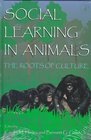 Social Learning In Animals  The Roots of Culture
