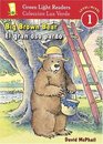 Big Brown Bear/El gran oso pardo