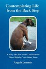 Contemplating Life From The Back Step: A story of life lessons learned from three slightly crazy Boxer dogs