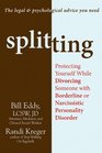 Splitting Protecting Yourself While Divorcing Someone With Borderline or Narcissistic Personality Disorder