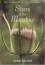 Stars of the Meadow: Exploring Medicinal Herbs As Flower Essences