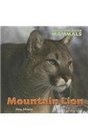 Mountain Lion