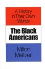 The Black Americans  A History in Their Own Words