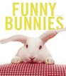 Funny Bunnies