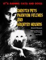 It's Raining Cats And Dogs Ghostly Pets Phantom Felines And Haunted Hounds