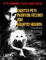 It's Raining Cats And Dogs: Ghostly Pets, Phantom Felines And Haunted Hounds