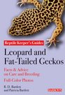 Leopard and FatTailed Geckos