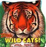 Wild Cats! (Know-It-All)
