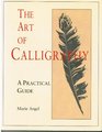 Art of Calligraphy a Practical Guide