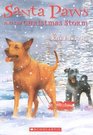 Santa Paws and the Christmas Storm