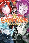Twin Star Exorcists Vol 13