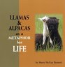 Llamas and Alpacas as a Metaphor for Life