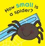 How Small Is a Spider
