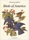 Birds of America