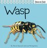 Wasp