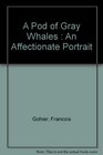 A Pod of Gray Whales  An Affectionate Portrait