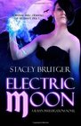 Electric Moon: A Raven Investigations Novel (Volume 2)
