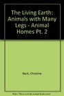 The Living Earth Animals with Many Legs  Animal Homes Pt 2