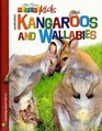 Australian Kangaroos and Wallabies