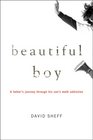 Beautiful Boy A Father's Journey Through His Son's Meth Addiction