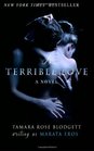 A Terrible Love A Novel