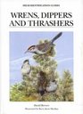 Wrens Dippers and Thrashers