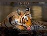 Tigers My Life Ranthambhore and Beyond