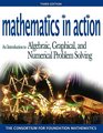 Mathematics in Action An Introduction to Algebraic Graphicald Numerical Problem Solving Value Pack