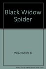 Black Widow Spider