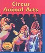 Circus Animal Acts