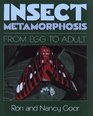 Insect Metamorphosis  From Egg to Adult