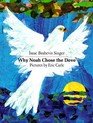 Why Noah Chose the Dove