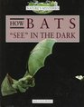 How Bats See in the Dark