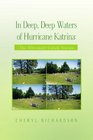 In Deep Deep Waters of Hurricane Katrina The Aftermath Untold Stories