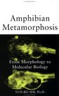 Amphibian Metamorphosis  From Morphology to Molecular Biology