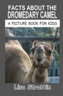 Facts About The Dromedary Camel