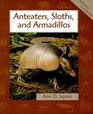 Anteaters Sloths and Armadillos