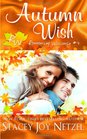 Autumn Wish: Romancing Wisconsin #4 (Volume 4)