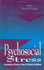 Psychosocial Stress  Perspectives on Structure Theory LifeCourse and Methods