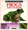 The Fascinating World of Frogs and Toads