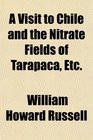 A Visit to Chile and the Nitrate Fields of Tarapaca Etc