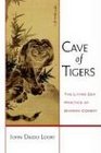 Cave of Tigers The Living Zen Practice of Dharma Combat