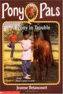 A Pony in Trouble (Pony Pals, Bk 3)