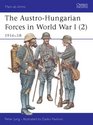 The AustroHungarian Forces in World War I  191618