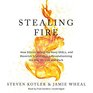 Stealing Fire How Silicon Valley the Navy Seals and Maverick Scientists Are Revolutionizing the Way We Live and Work