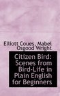 Citizen Bird Scenes from BirdLife in Plain English for Beginners