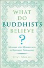 What Do Buddhists Believe Meaning and Mindfulness in Buddhist Philosophy